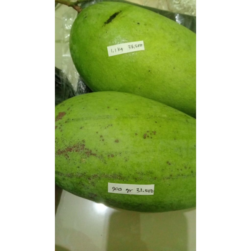 

Buah mangga kioja dgn berat 1.5 kg silahkan di order