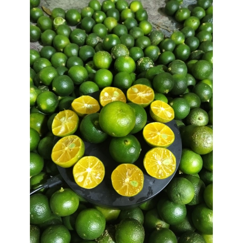 

1kg jeruk sonkit/kasturi ukuran kecil