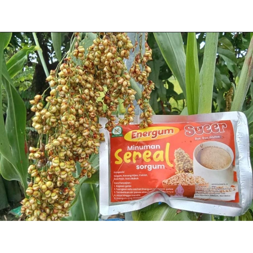 

sorgum sereal energum instan