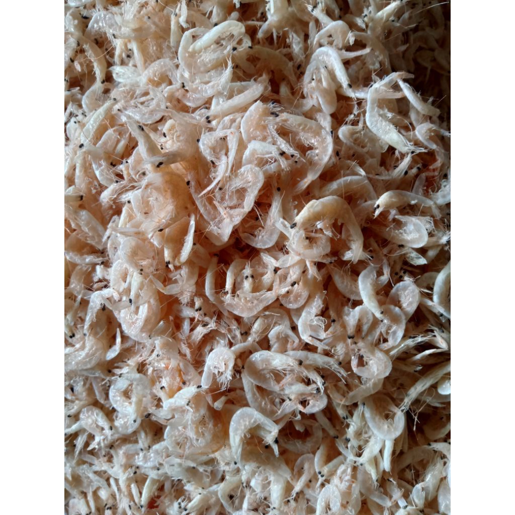 

[COD] UDANG REBON ASIN HALUS/KECIL / REBON MERAH[ 1 KG ] [ 500 GR ] [ 250GR ] QUALITY SUPER BERSIH DAN HIGIENIS KERING