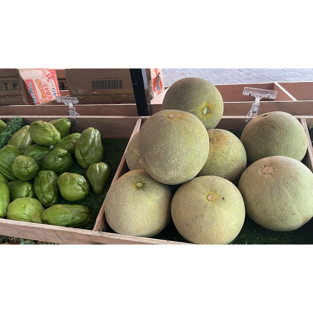 

BUAH MELON FRESH PERBUAH