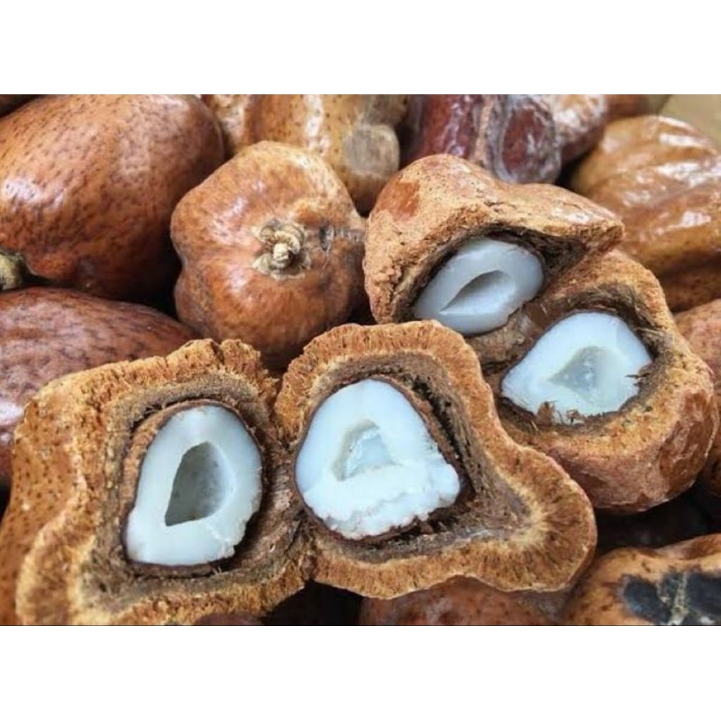 

BUAH ZURIAT PROMIL 1 kg