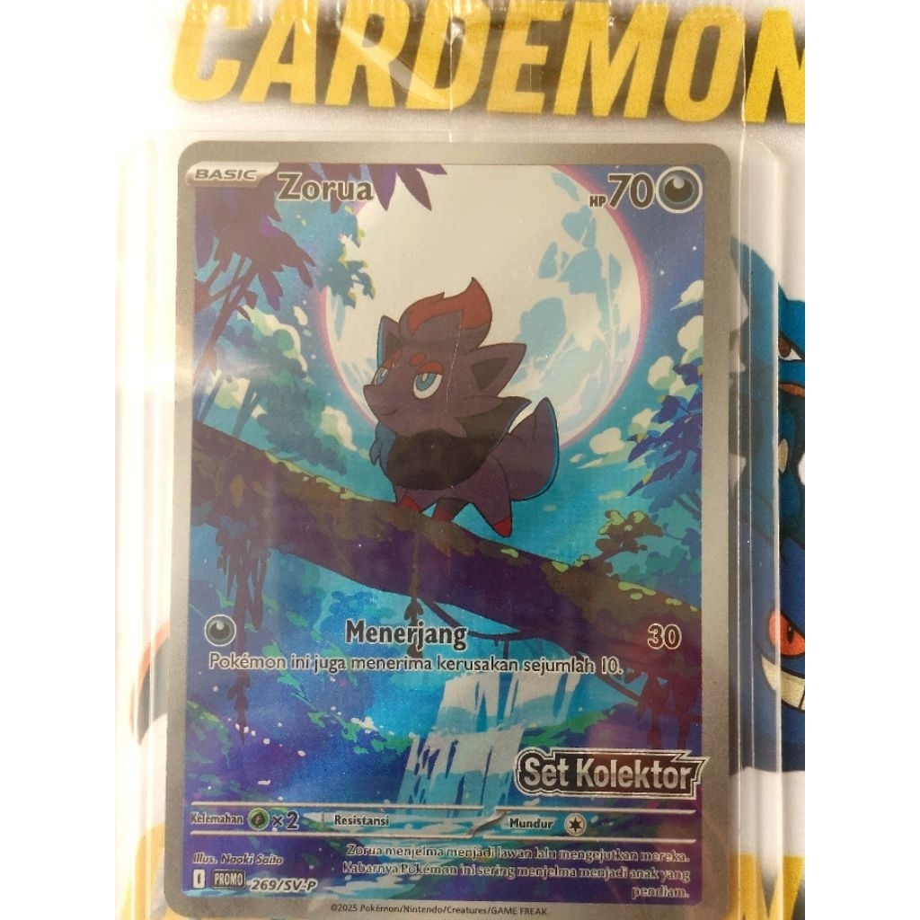 Zorua Promo Pack Shield Set Kolektor Hitam & Putih Pokemon TCG indonesia