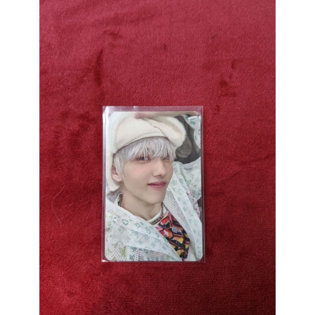 Photocard PC Jisung Glitch Mode Official Kolpri good condition