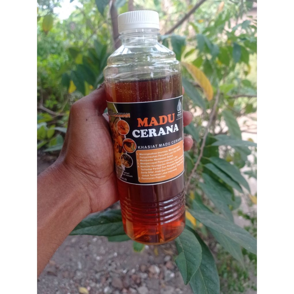 

Madu cerana atau madu kampung 600g