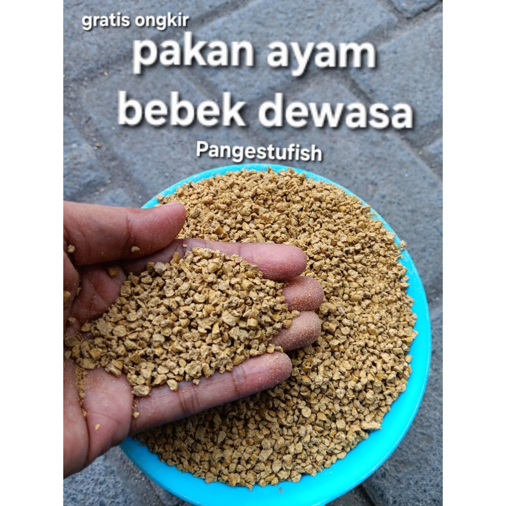 Pur pakan AYAM dan Bebek dewasa