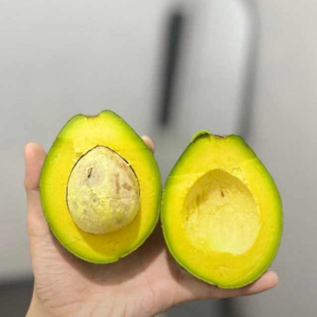 

Alpukat Mentega 1kg isi 4