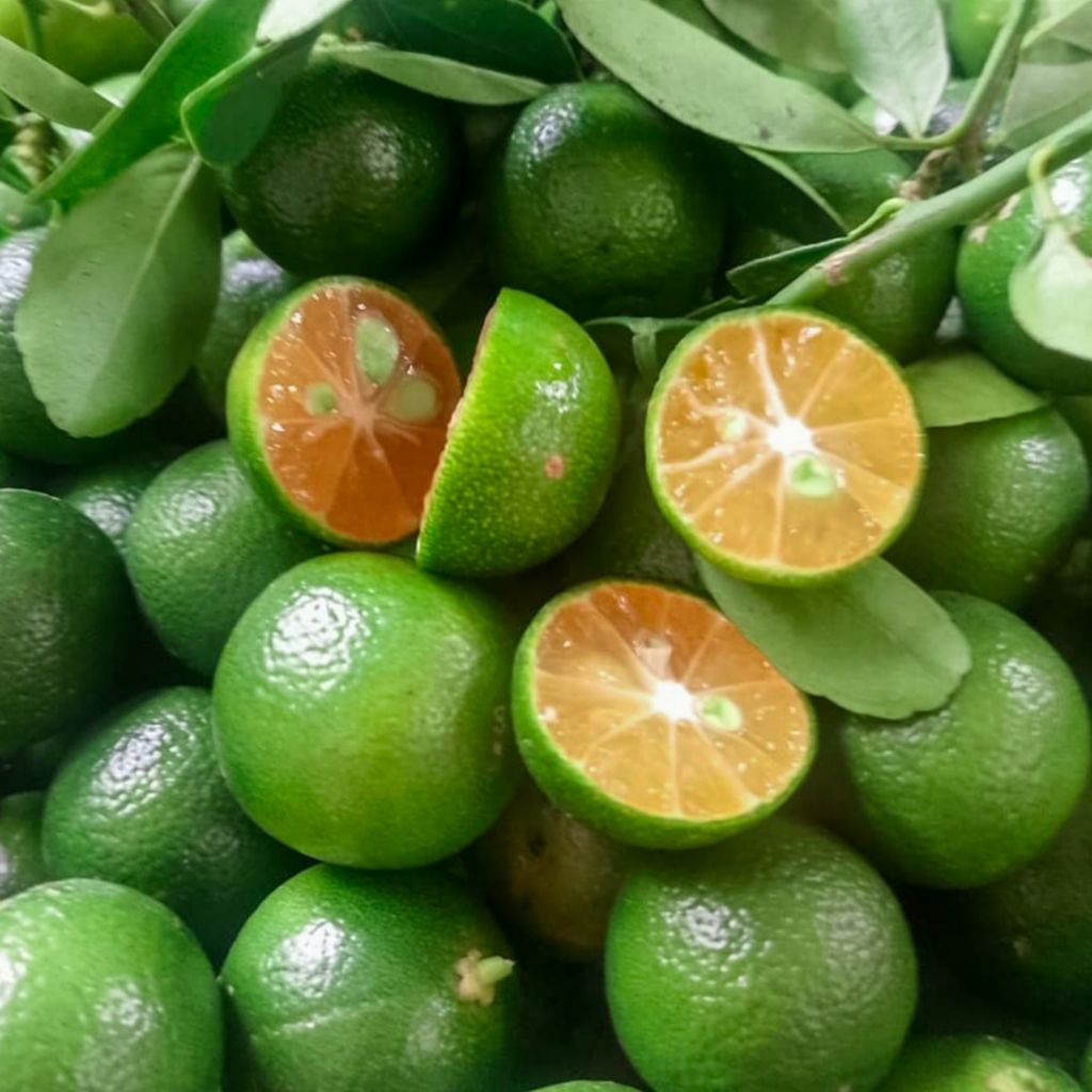 

1KG JERUK SONKIT / JERUK KASTURI / JERUK KUNCI