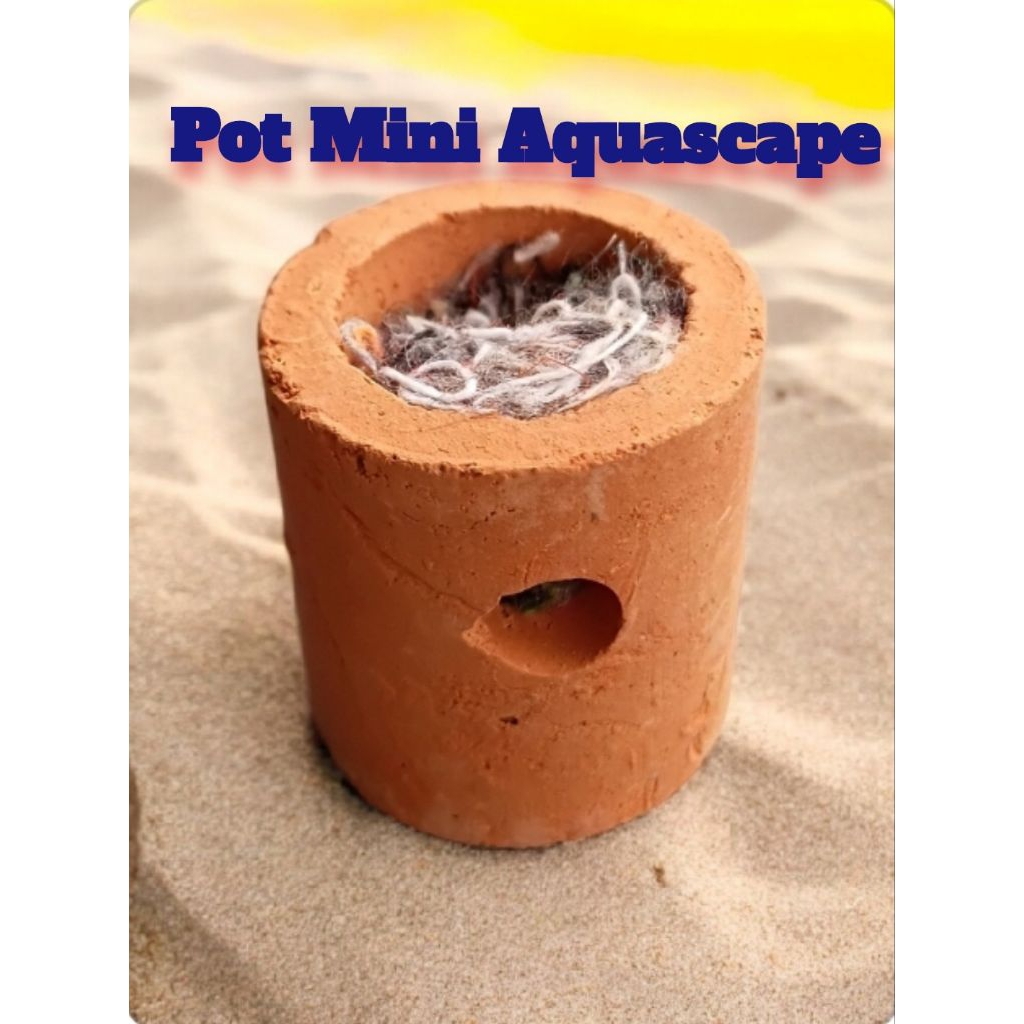Pot Mini Aquascape (Pot Tanaman Air) Polos dan pakai kapas untuk Media Tanam Tanaman  terbuat dari T