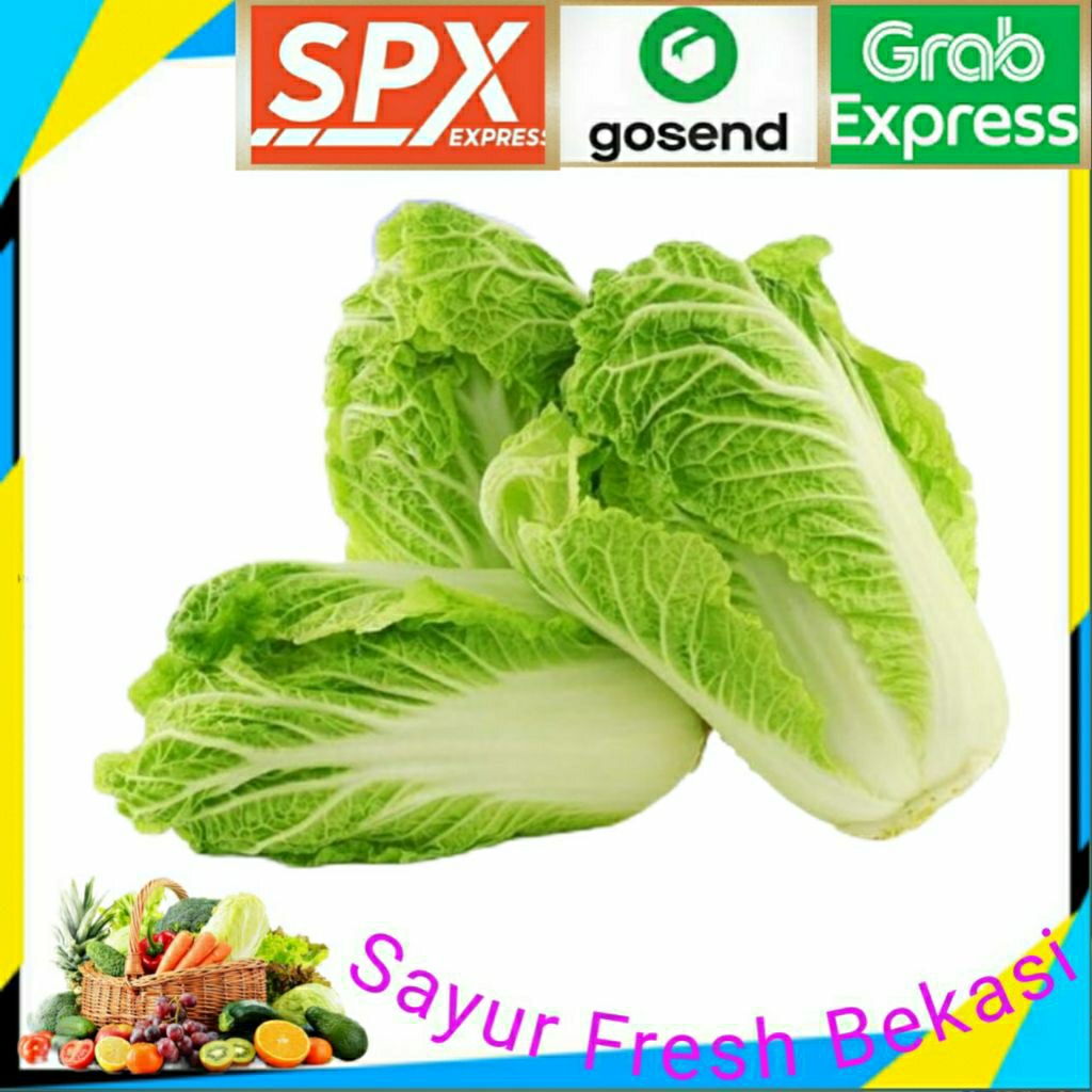 

Sawi Putih Segar 500gr.