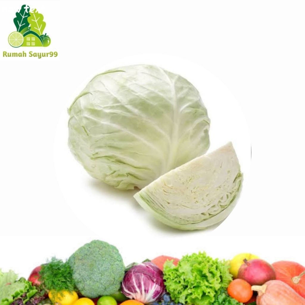 

Kol Kubis hijau segar