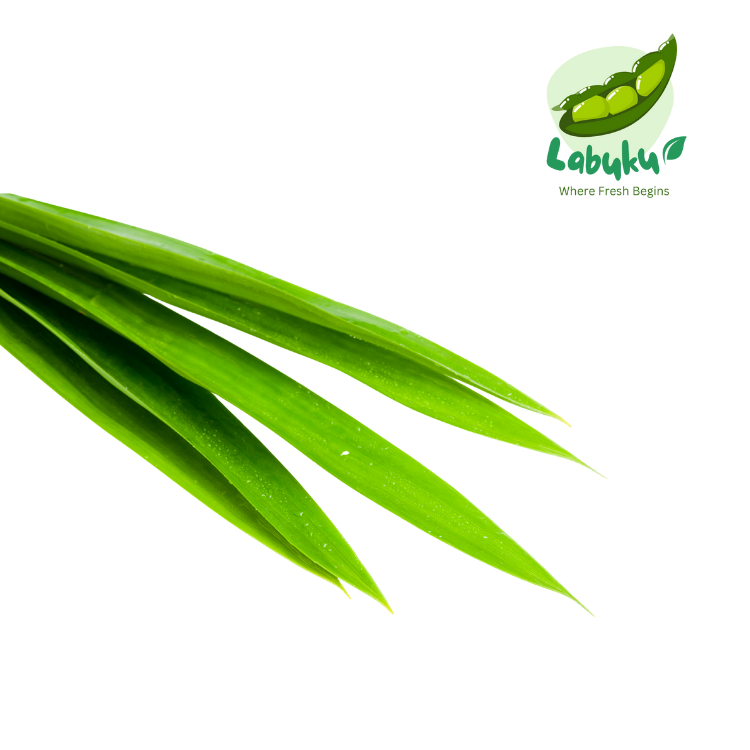

Labuku – Daun Pandan Segar Premium Lokal