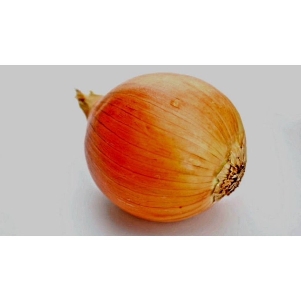 

bawang bombai 250 gr