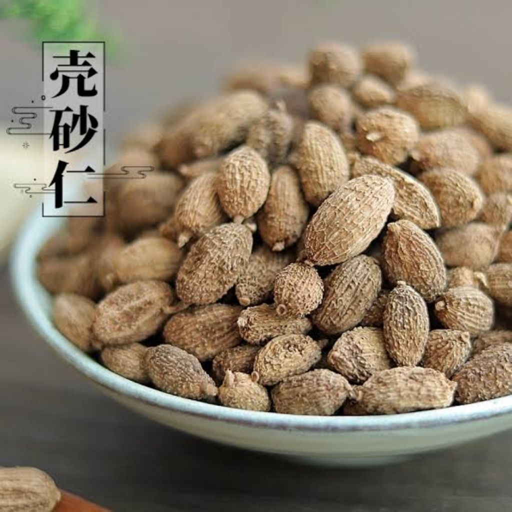 

100gr Herbal Ke Sha Ren Jaminan Premium Grade Villous Amomum Fruit / Amomum Fruit / Grains Of Paradise Fruit / Wurfbainia Villosa / Amomi Fructus / Amomum Villosum