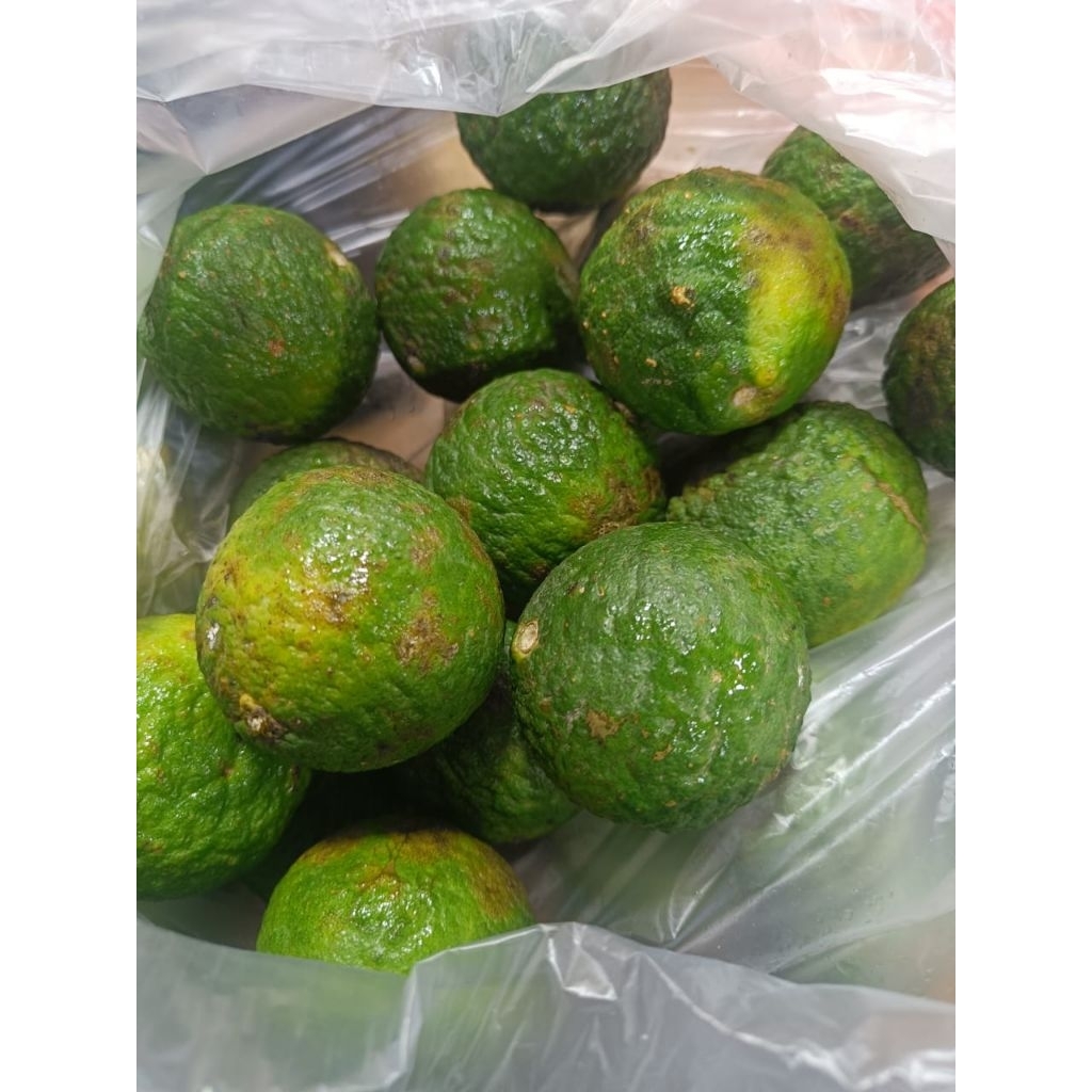 

jeruk jungga / jeruk sundai per biji