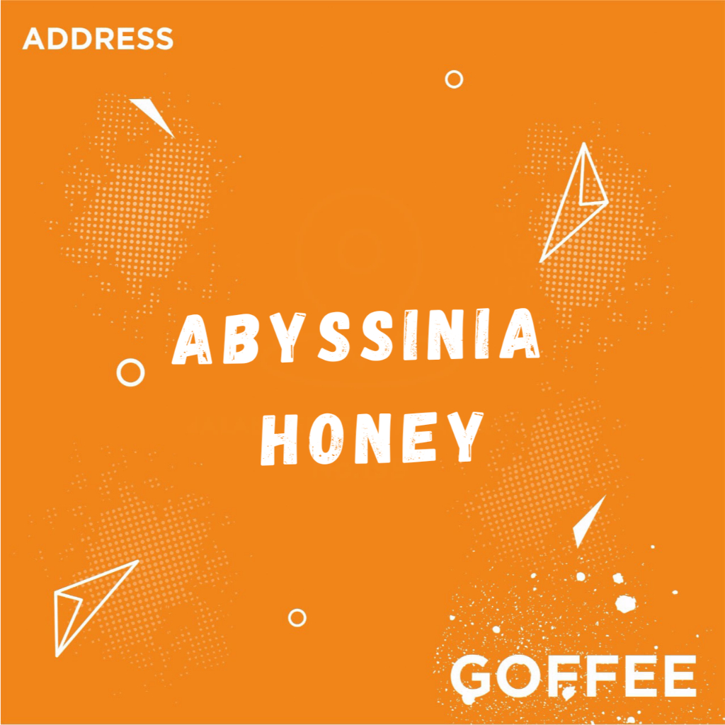 

Gayo Abysinia Honey 250gr