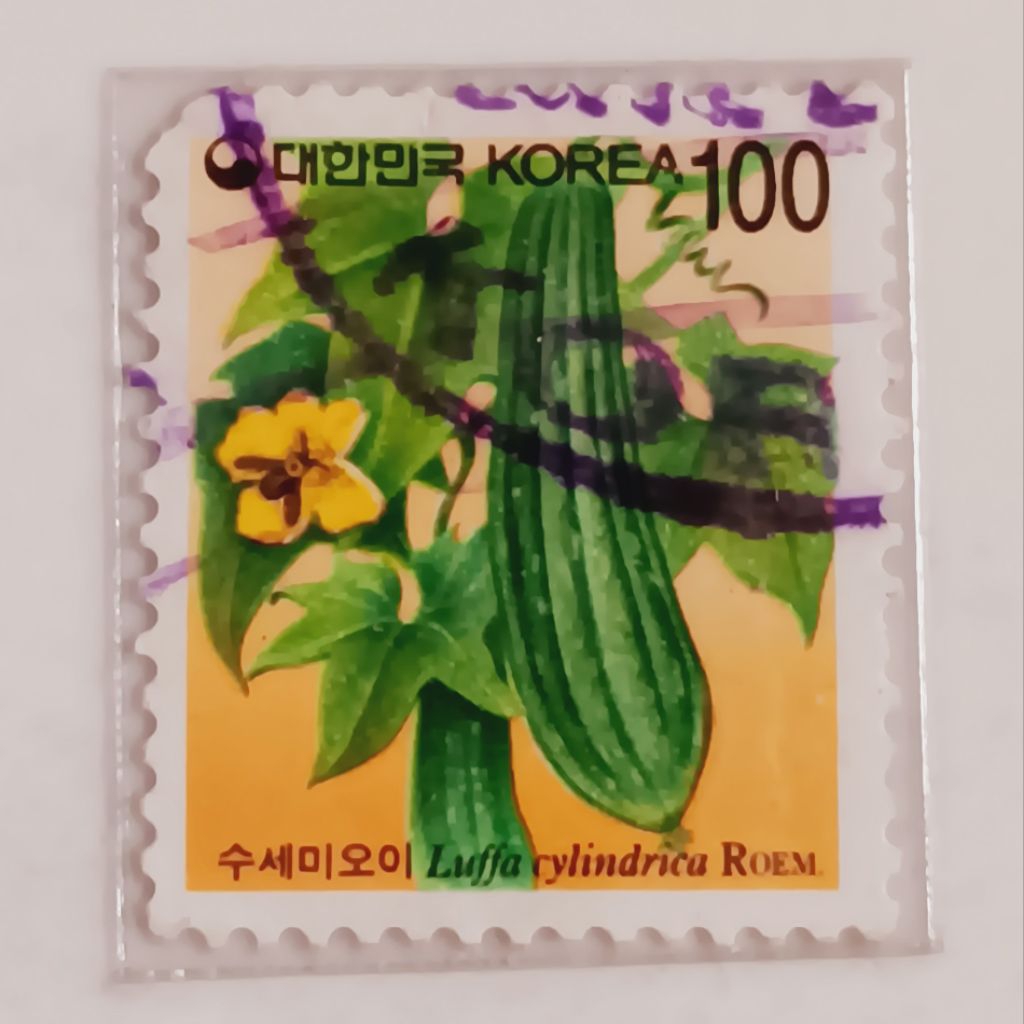 

(AD) Perangko Korea Selatan 1997 Definitives (1993-98) - Luffa aegyptica 100 won Used