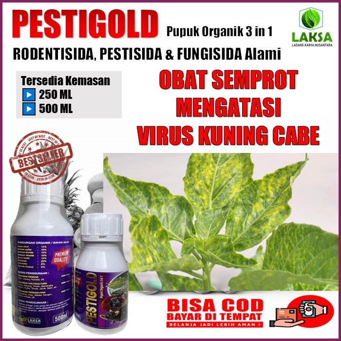 Pestigold pupuk organik 3 in 1 mencegah penyakit kuning daun cabe - pupuk Rodentisida, pestisida dan