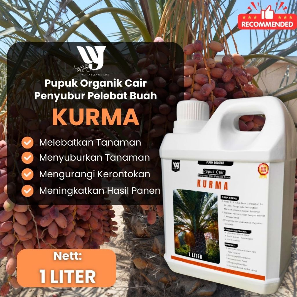 Pupuk Kurma Subur Cepat Berbuah | Pupuk Penyubur Pohon Kurma Lebat Manis Boster pelebat Kurma