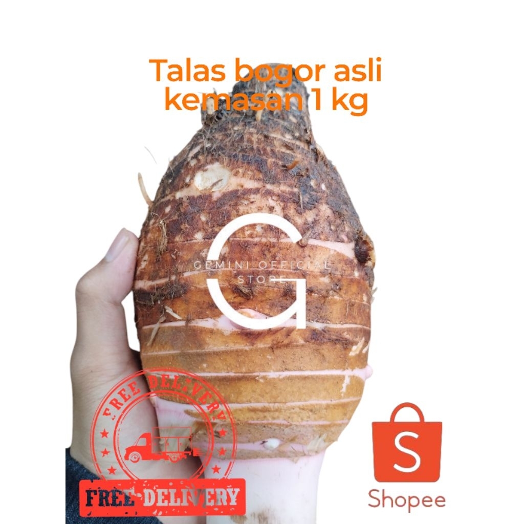 

talas bogor segar 1kg talas bogor 1 kg jumbo 1 kg {GOS}