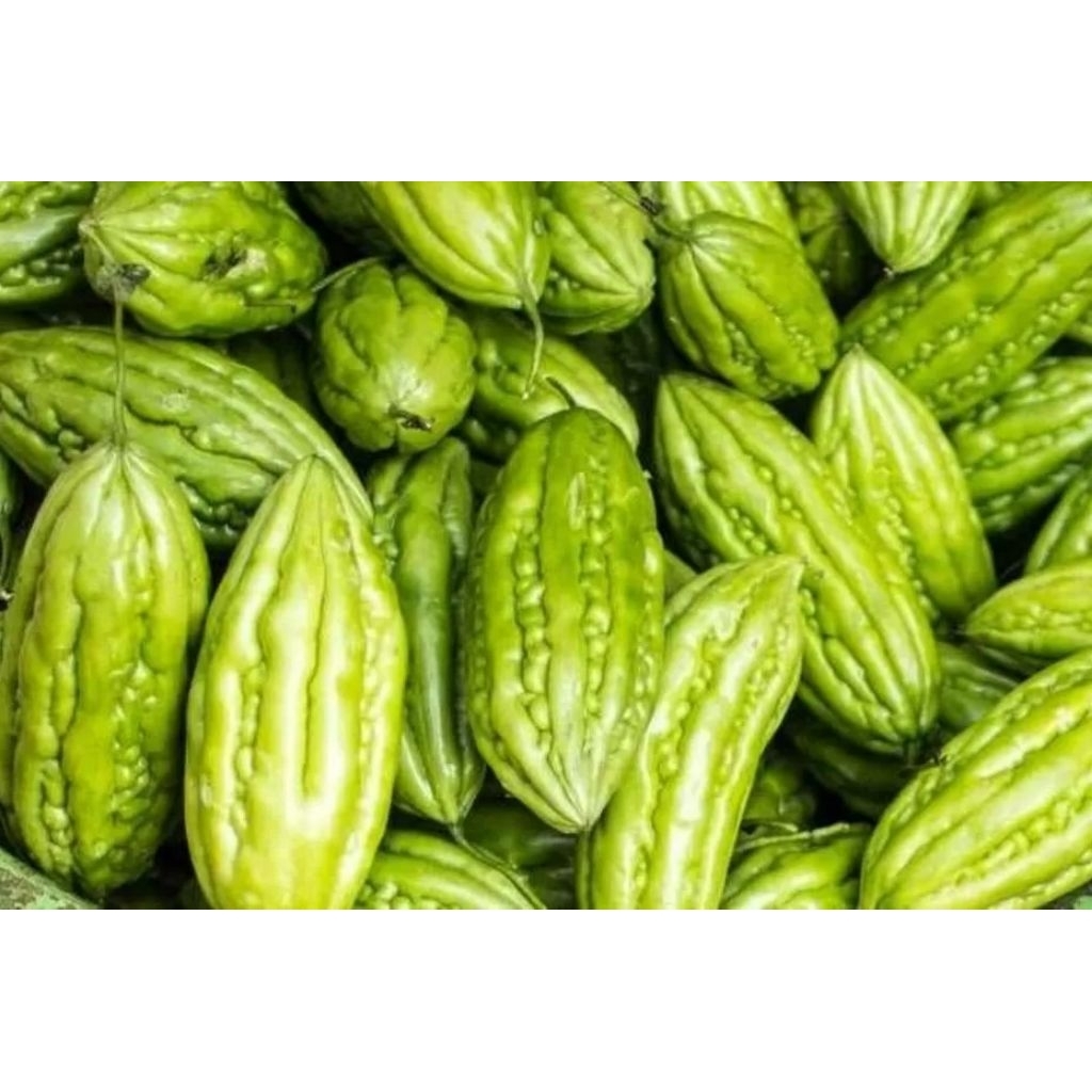 

sayuran - pare / paria 250g by pasar Tasik online