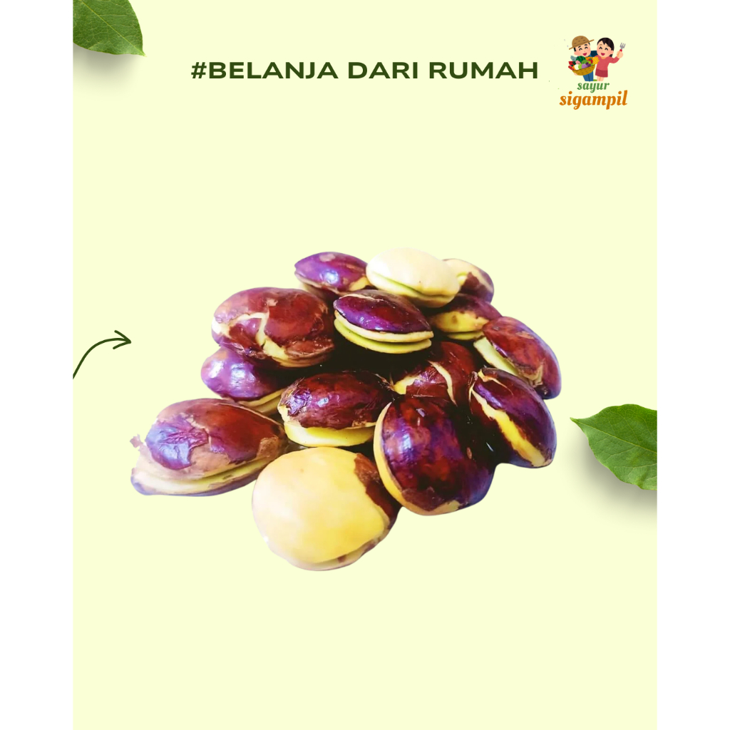 

Jengkol Segar 250gr Lokal Bandung