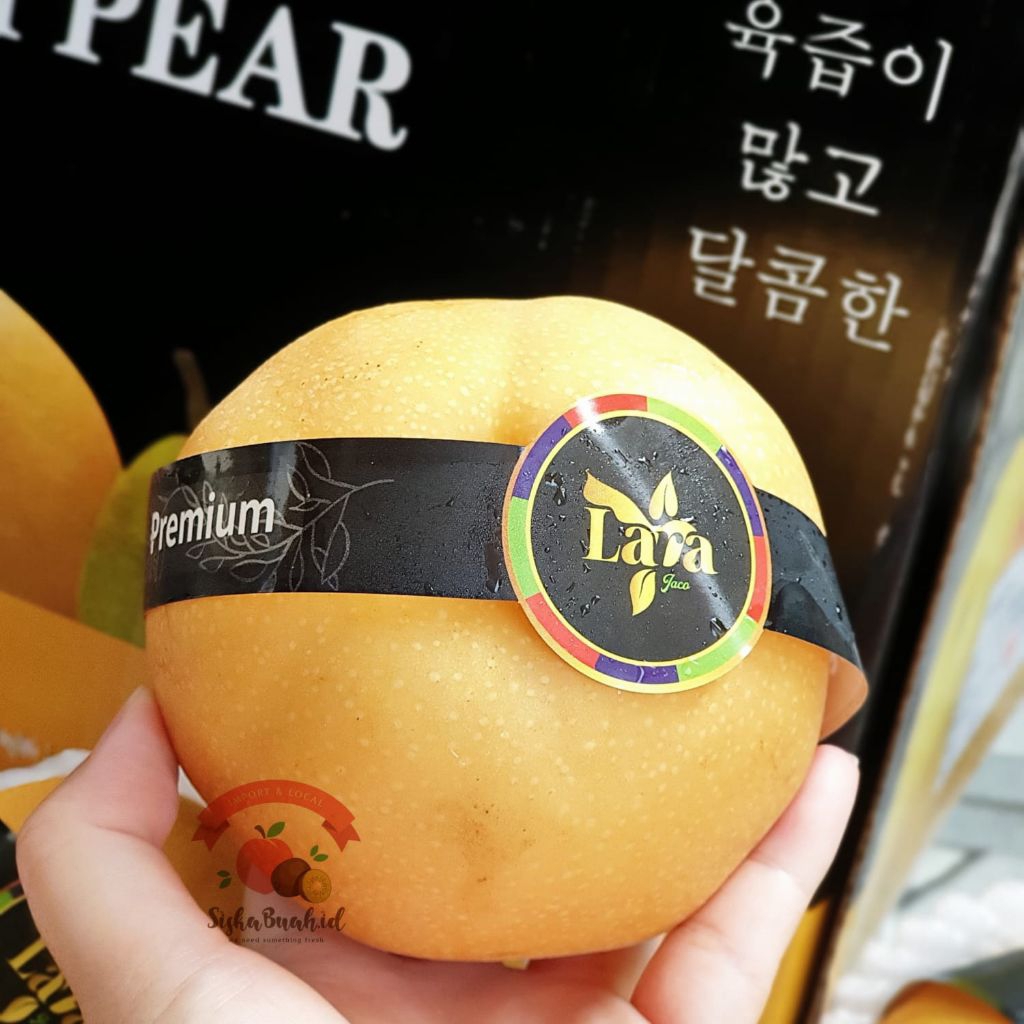 

PEAR SINGO JUMBO KOREA | PEAR MANIS | BUAH PIR