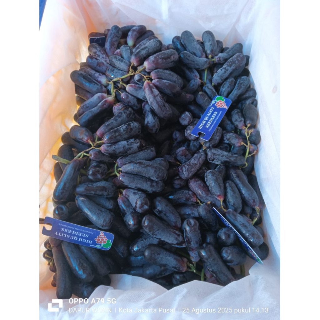 

Anggur sweet Shapire 1kg