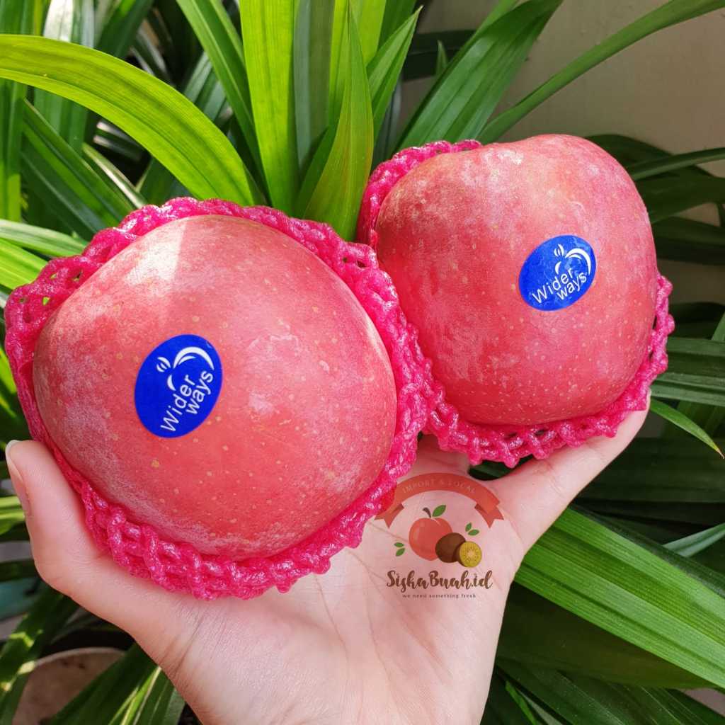 

APEL FUJI PREMIUM | APEL FUJI BLUSH | APEL FUJI IMPORT MANIS GARING