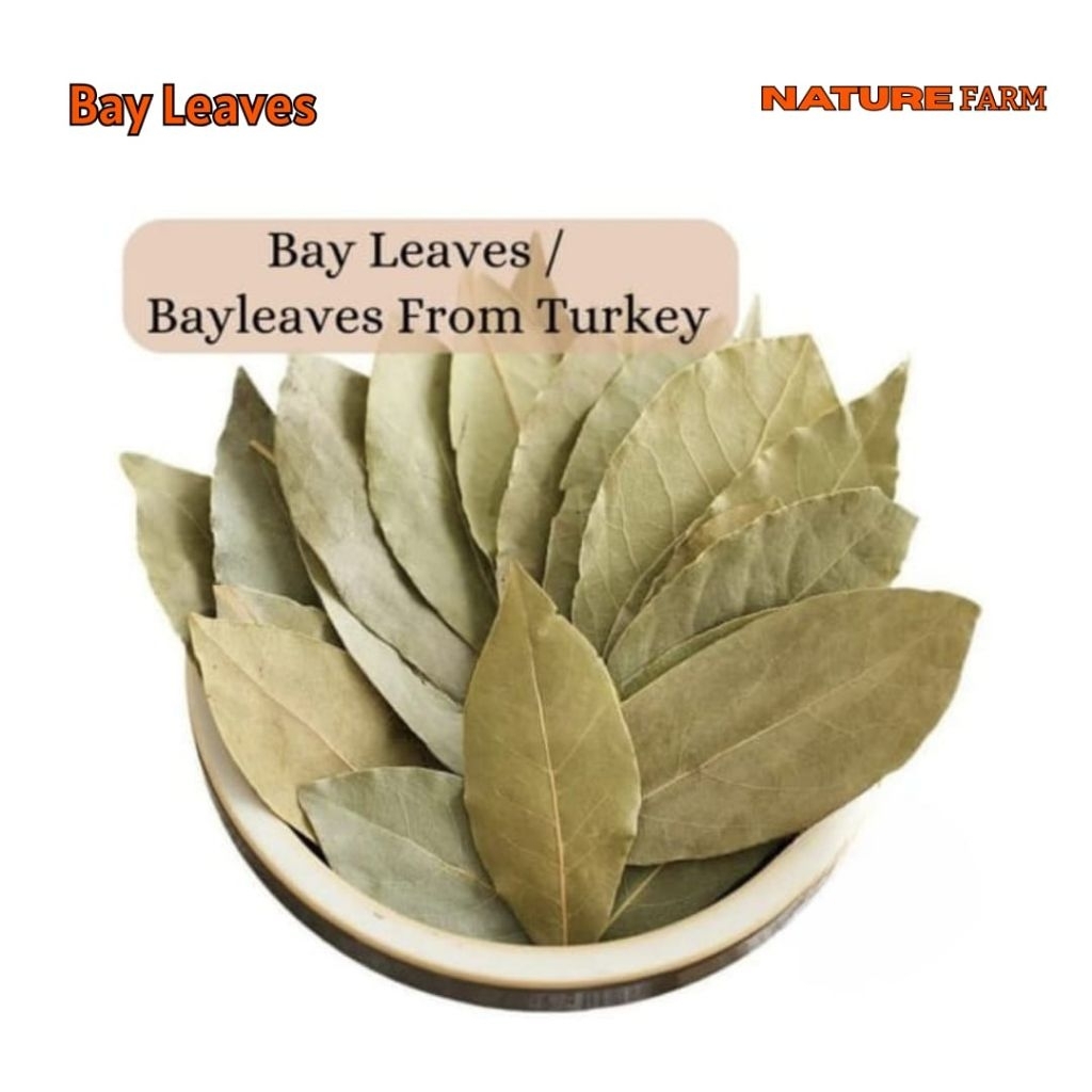 

Premium Turkey Bay Leaves / Bay Leaf - Daun Salam Turki