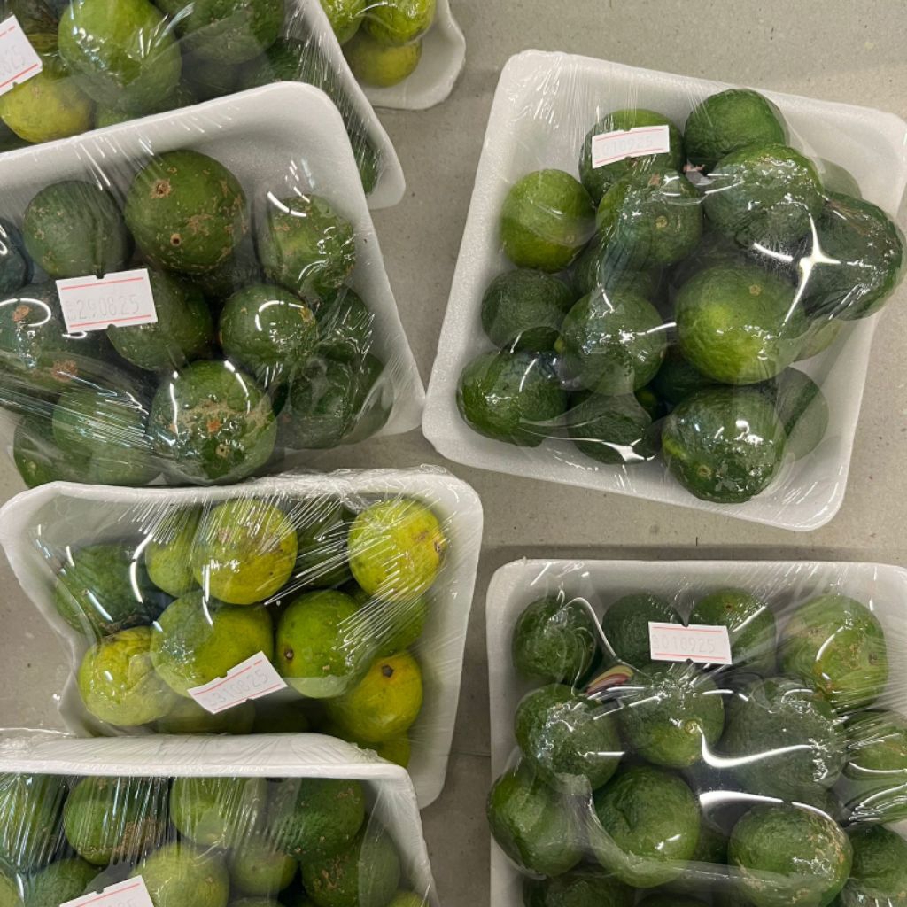 

Jeruk Limau/Limo /Griya Sembada/Semarang/Jeruk Peres/Jeruk Freshh/Jeruk Baso Aci