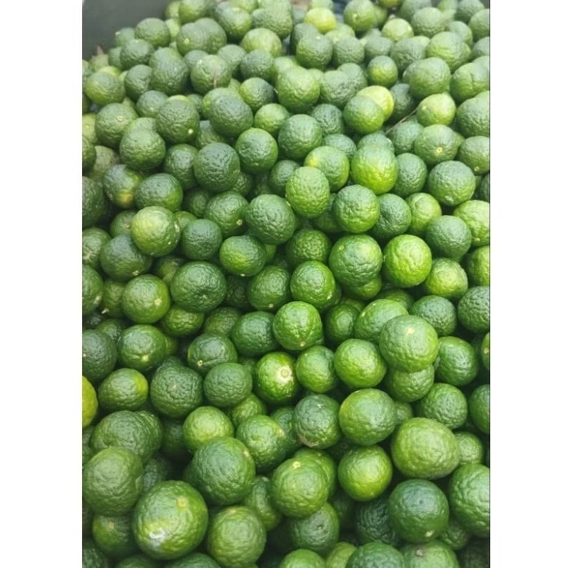 

Jeruk limo/limau/sambel/harga per 1kg | ukuran bisa menyesuaikan sesuai kebutuhan yang di perlukan