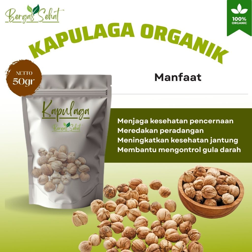 

Kapulaga Super Organik 50 gram fresh dari petani untuk bumbu dapur memasak rempah herbal