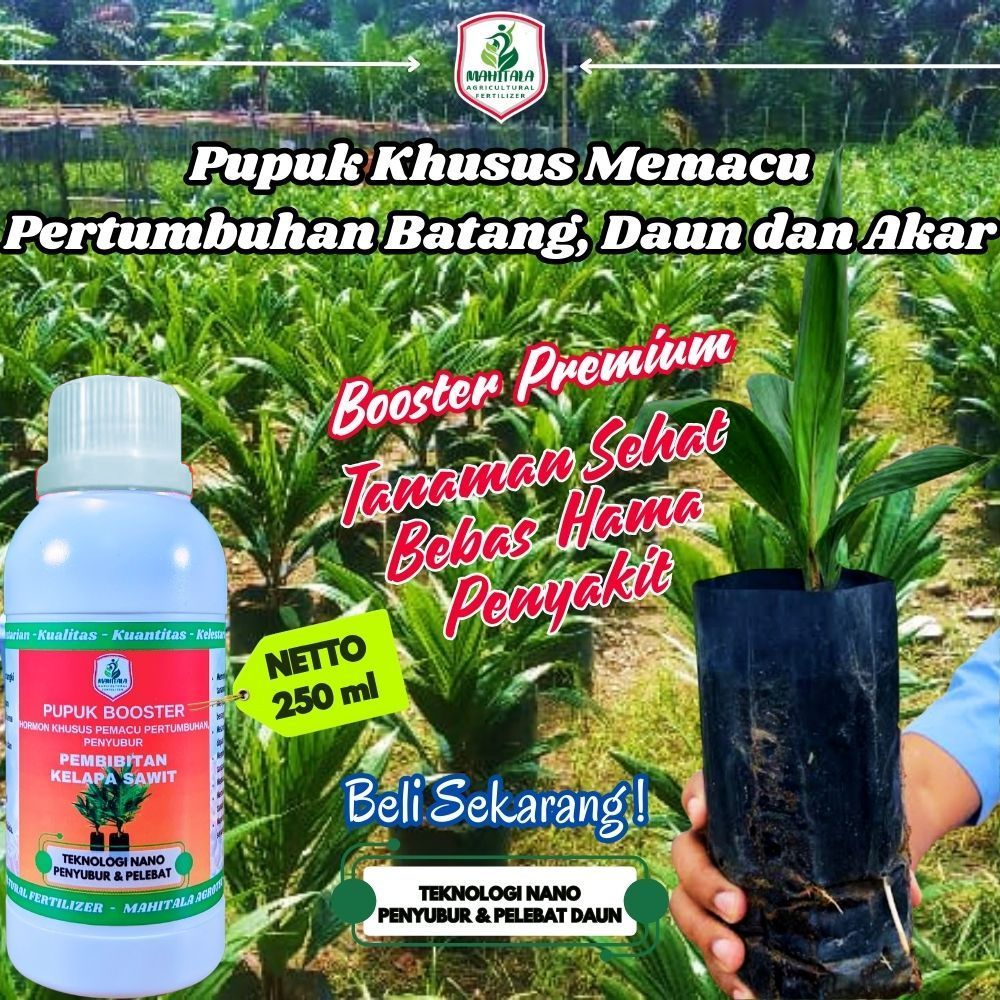 Shopritz Pupuk Khusus Bibit Kelapa Sawit Pupuk Bibit Sawit Kecil Pupuk Kecambah Sawit Pupuk Daun
