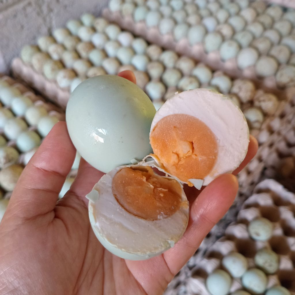 

Telur Asin Masir Enak Ukuran Besar Sedang Fress