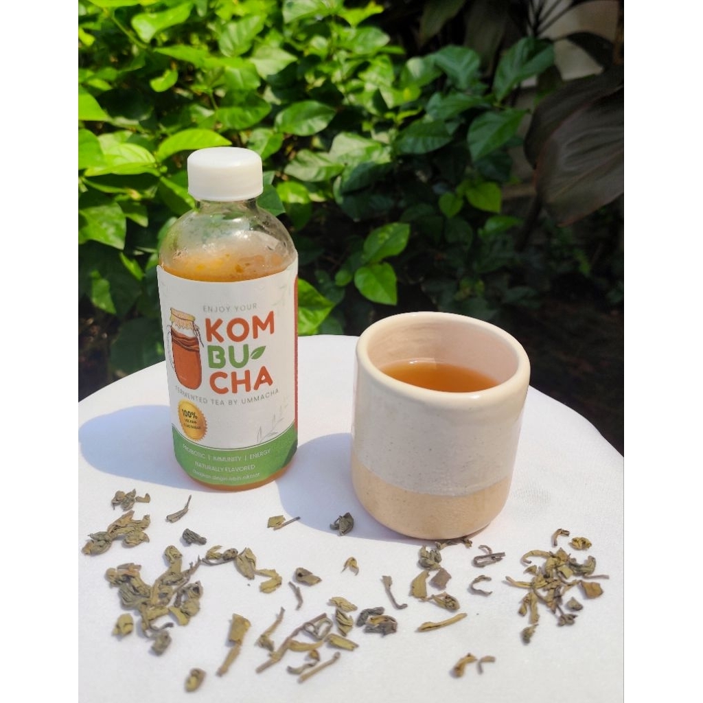 

Kombucha rasa original botol kaca | 230 ml
