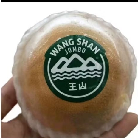 

Buah pear Wang shan jumbo premium manis 1kg