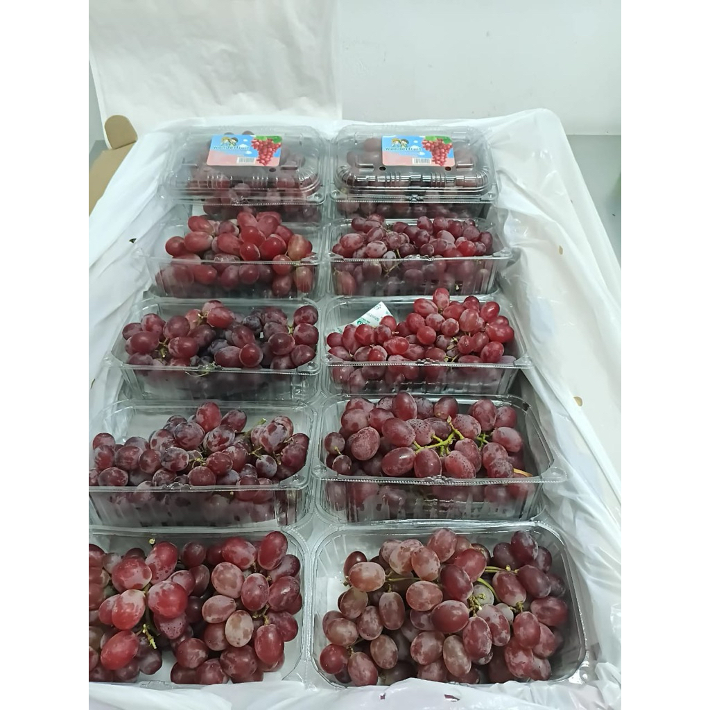 

Anggur Red Crimson / Buah anggur SALE