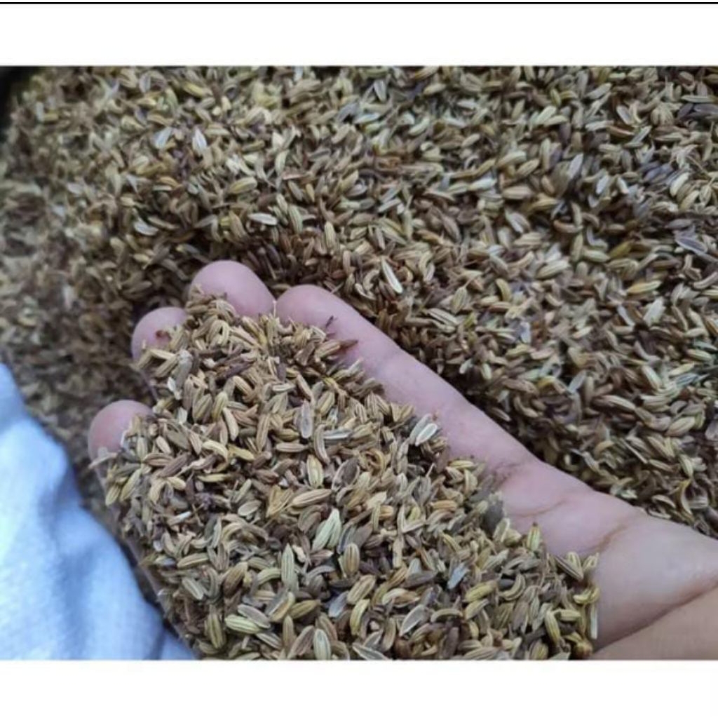 

Adas Manis 1kg Grade B