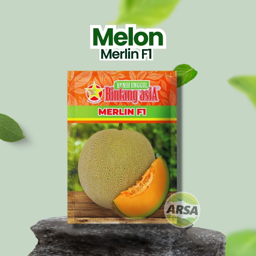 Benih Melon Merlin F1