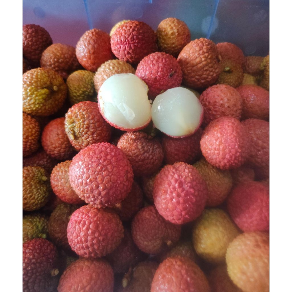 

Leci / Lychee Madu / Buah Buahan Segar Ready On Mallahrizwa