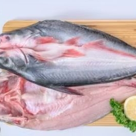 

ikan patin belah 2 pangasius buterfly 1 kg murah banget