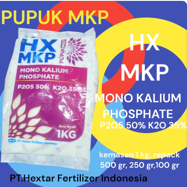 Pupuk MKP Malaysia dari Hextar Fertikizer Indonesia  (HX MKP) Mono Kalsium Phosphate P2O5 50%, K2O 3