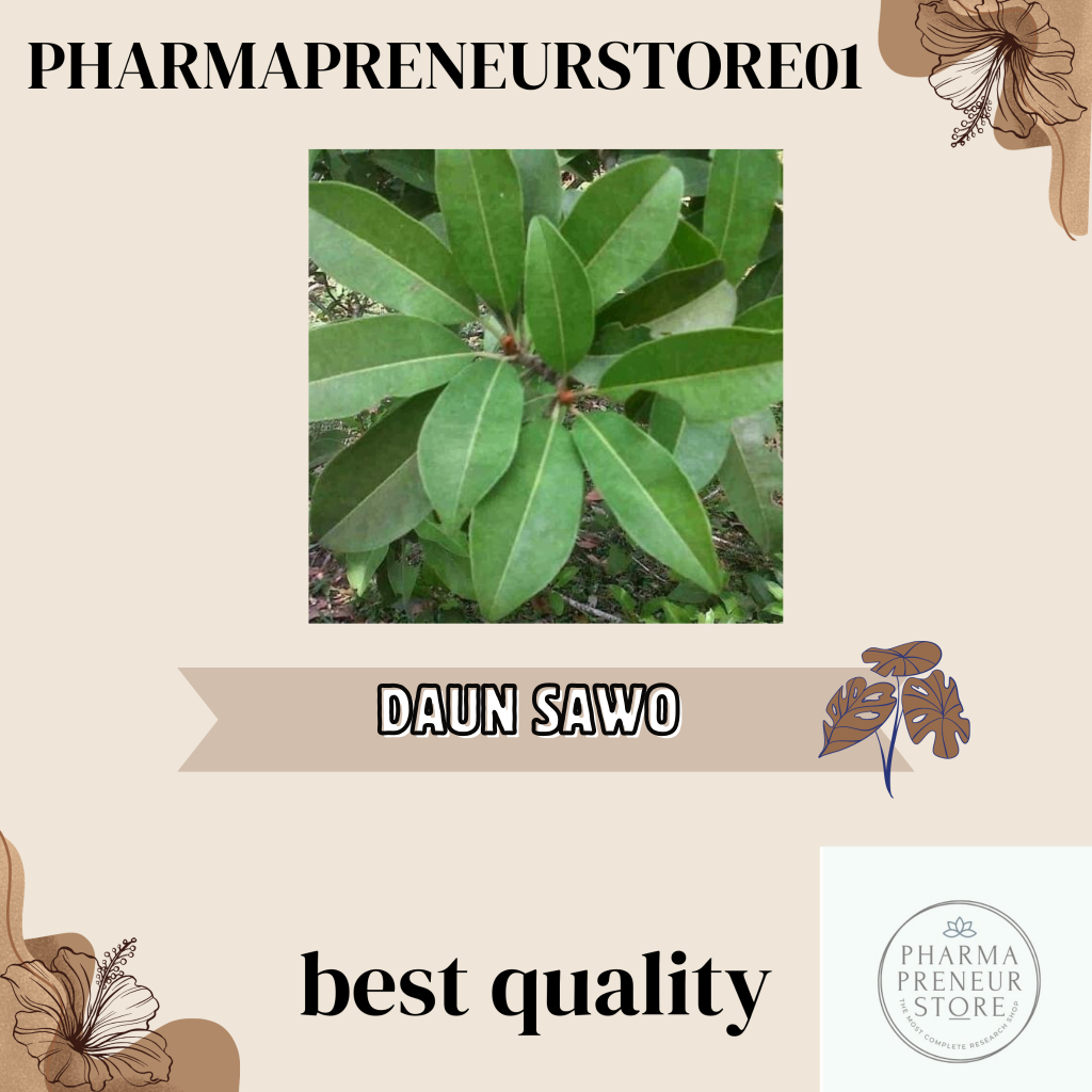 

DAUN SAWO PER 10 LEMBAR SUPER BEST PRODUCT