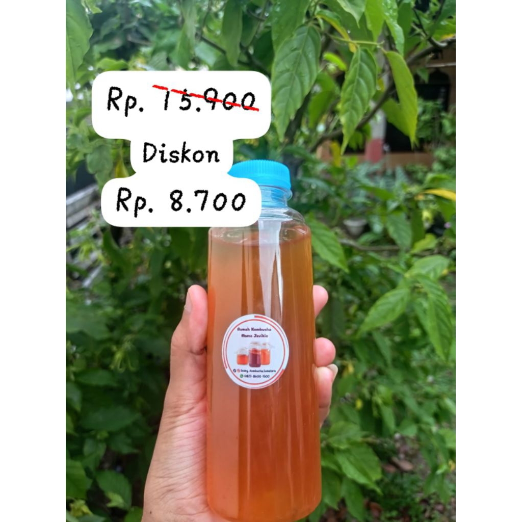 

teh diet kombucha teh sehat