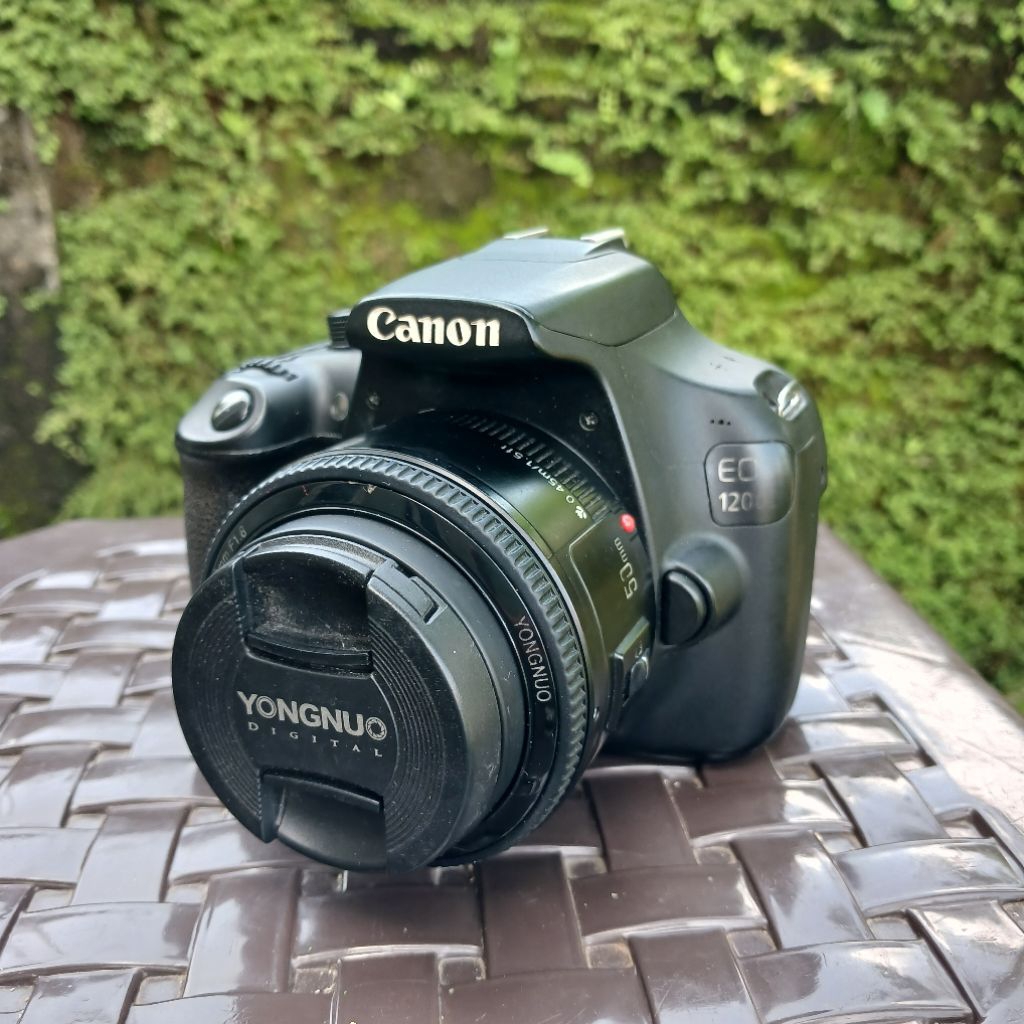 1200D CANON+lensa Fix YongNuo 50mm