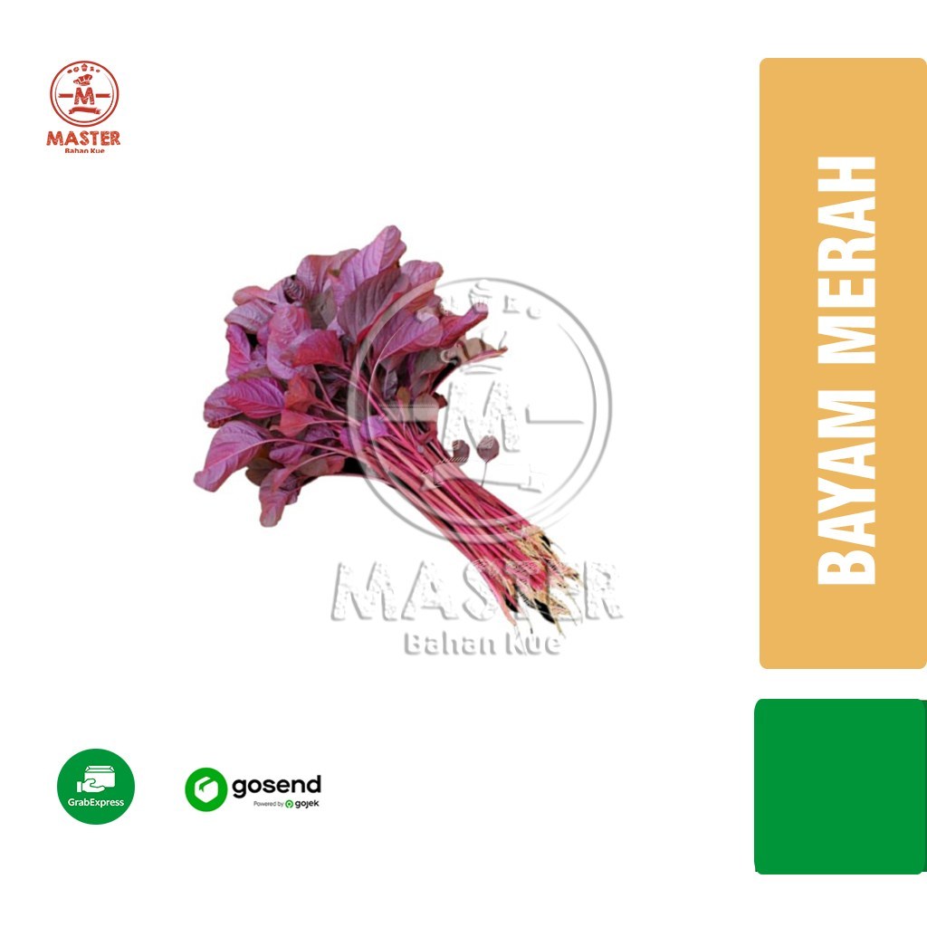 

Bayam Merah Organik Sayuran Segar Fresh [KHUSUS INSTANT]