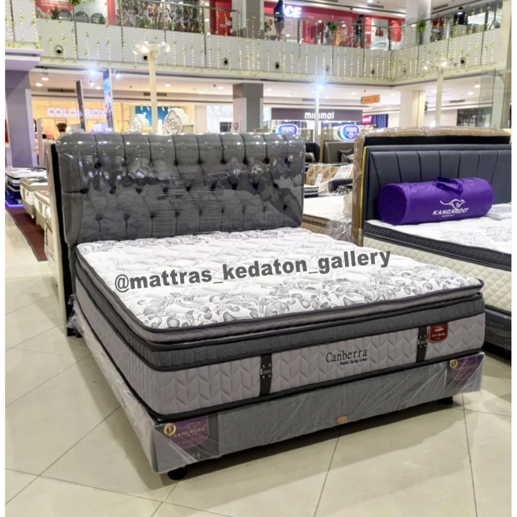 New Kangaroo Springbed Canberra Pocket Latex  - Kasur Springbed Matras Full Set All Size