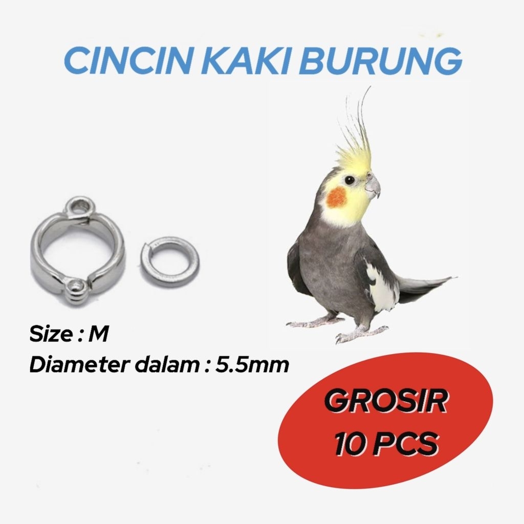 10 PCS Ring borgol kaki burung falk, monk & betet jawa