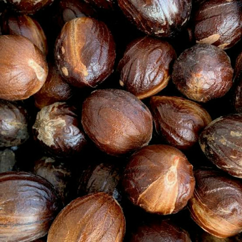 

biji pala kilat kering kualitas super 1 kg